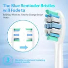 Replacement Toothbrush Head for Philips Sonicare Electric - 3 Boxes; 8 Pcs Each